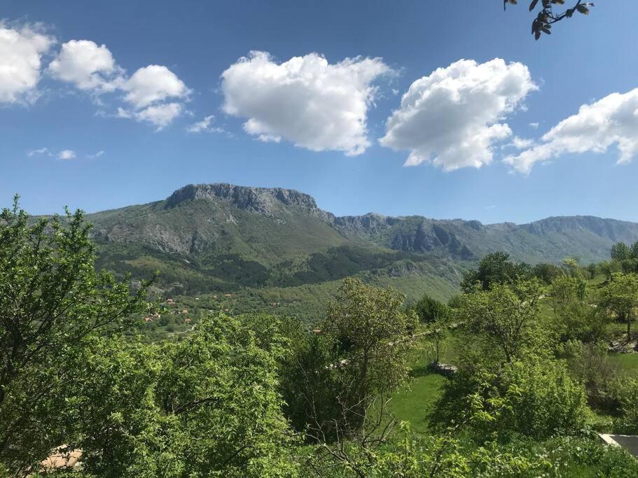 Nikšić Grandma'S Hutヴィラ エクステリア 写真