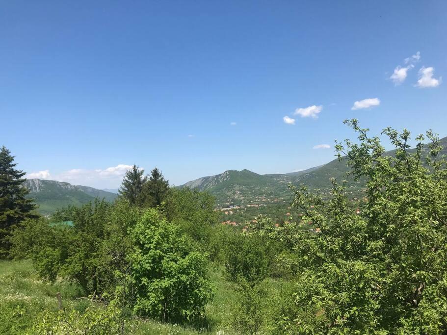 Nikšić Grandma'S Hutヴィラ エクステリア 写真